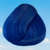 ⁦Atlantic Blue/ אטלנטיק בלו⁩ – תמונה ⁦2⁩
